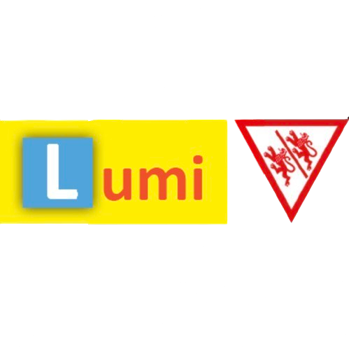 Bild Fahrschule Lumi