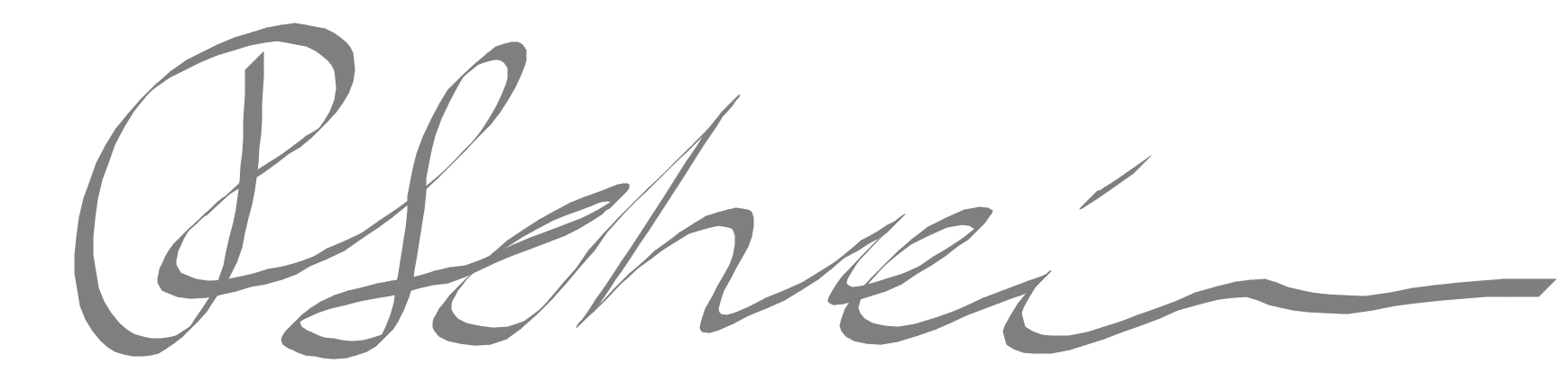 Unterschrift von Robin Schneider